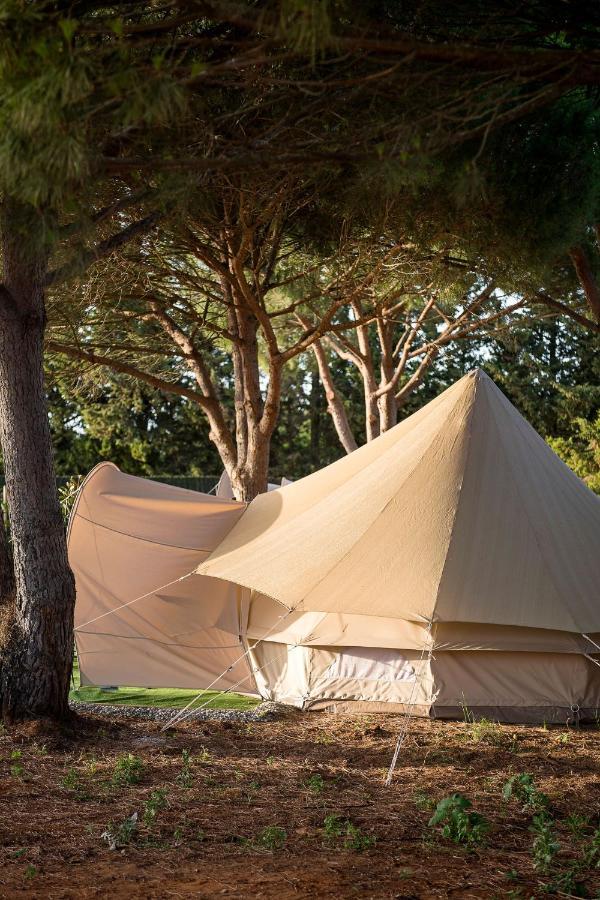 科尼尔-德拉弗龙特拉 Glamping La Mimosa Conil酒店 外观 照片