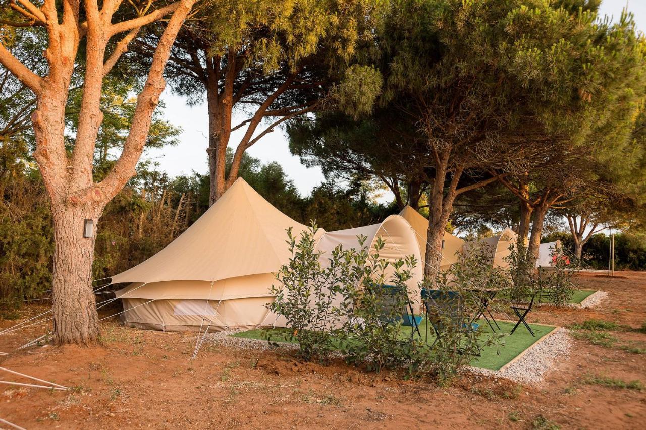 科尼尔-德拉弗龙特拉 Glamping La Mimosa Conil酒店 外观 照片